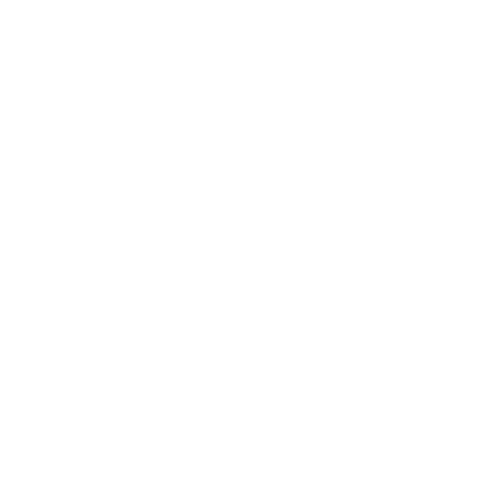 Organization Flywheel